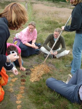 2004_0619orvelte20040068klein